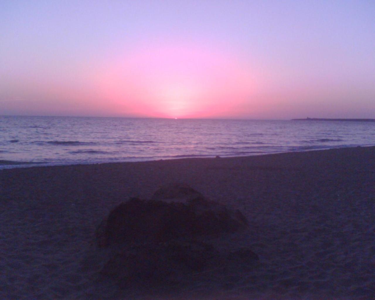 Bed and Breakfast Sardinia Eco Vegan House Zeddiani Exterior foto